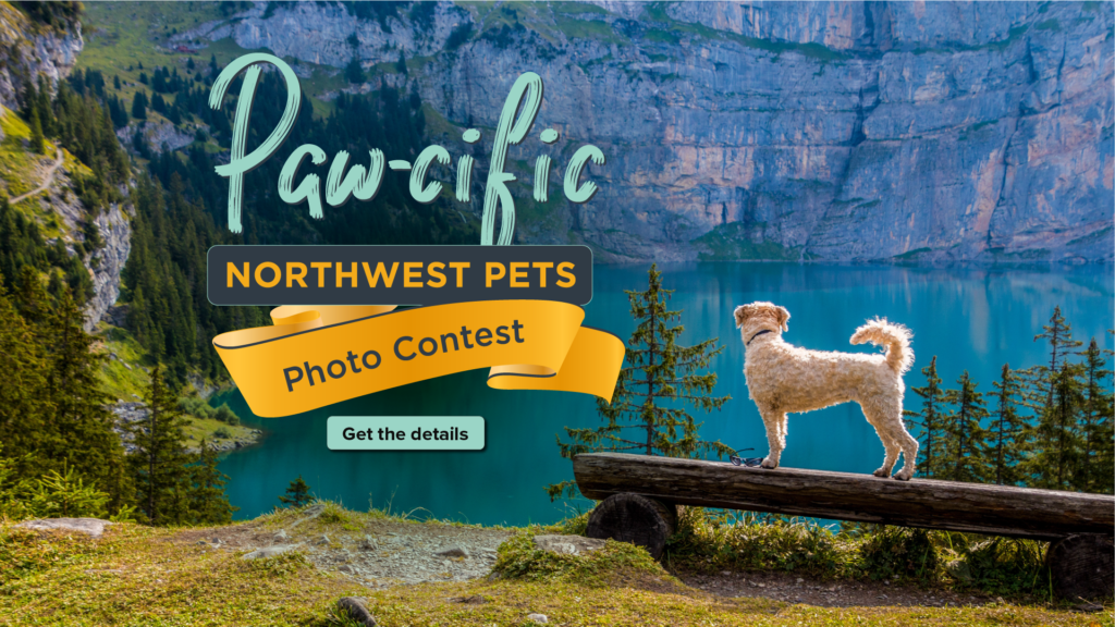 Paw-cific Northwest Pets Photo Contest