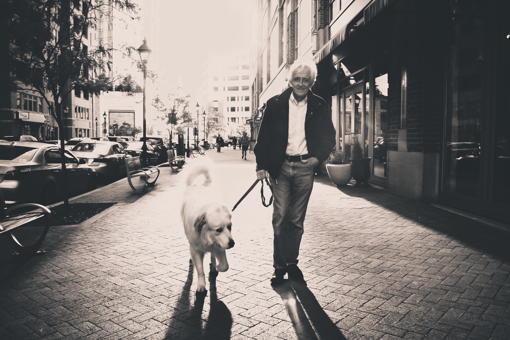 Man walking senior dog