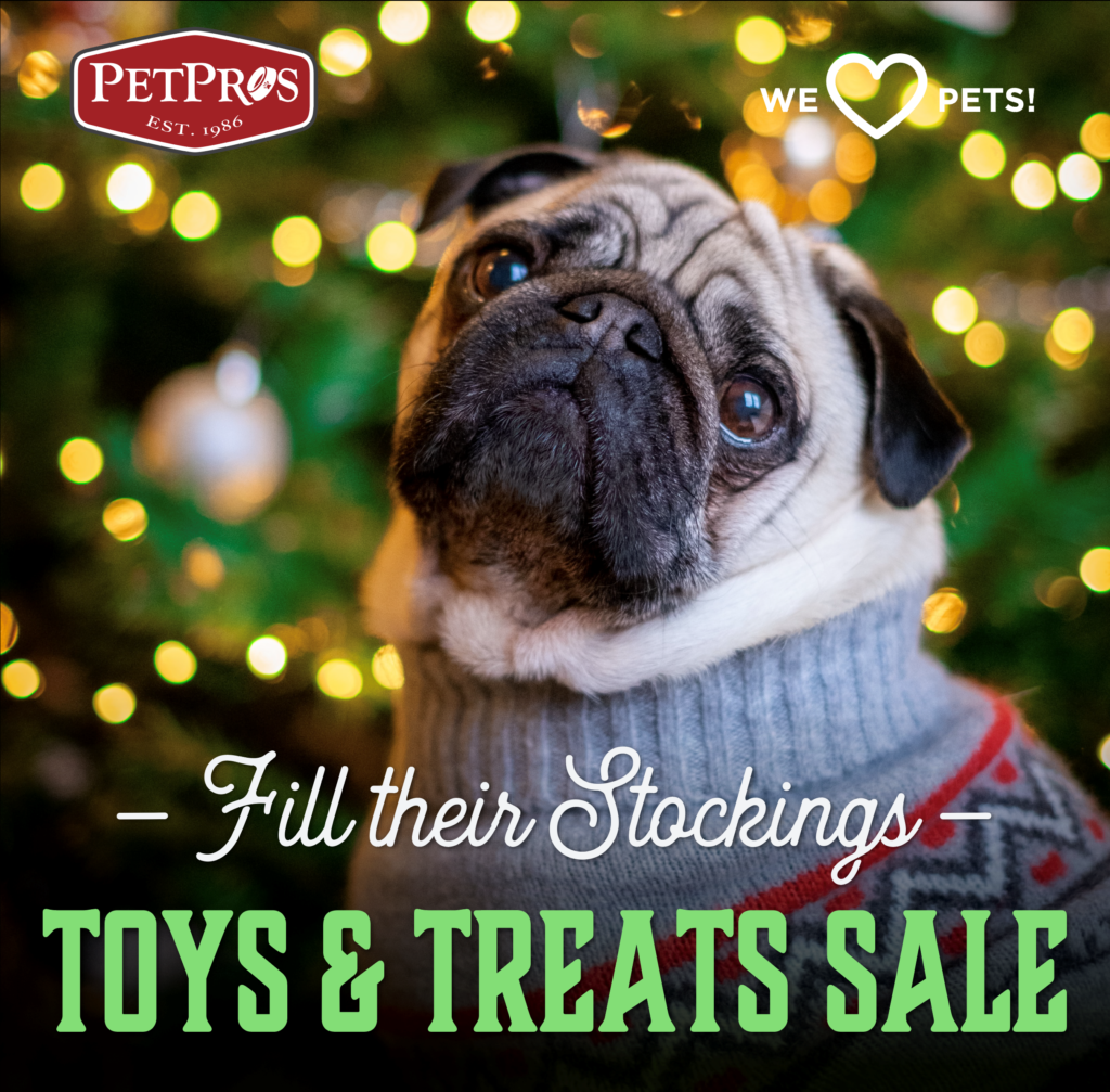 Holiday Toys & Treats Sale